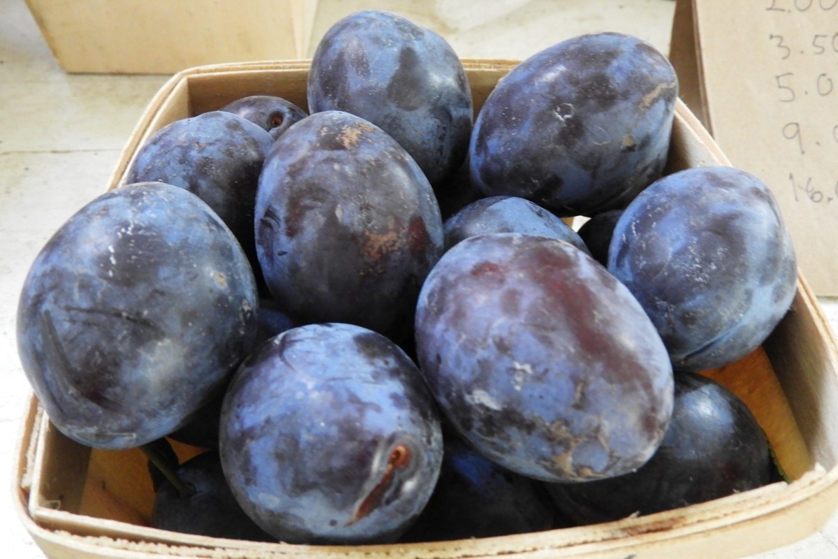 1/4 Peck of Plums
