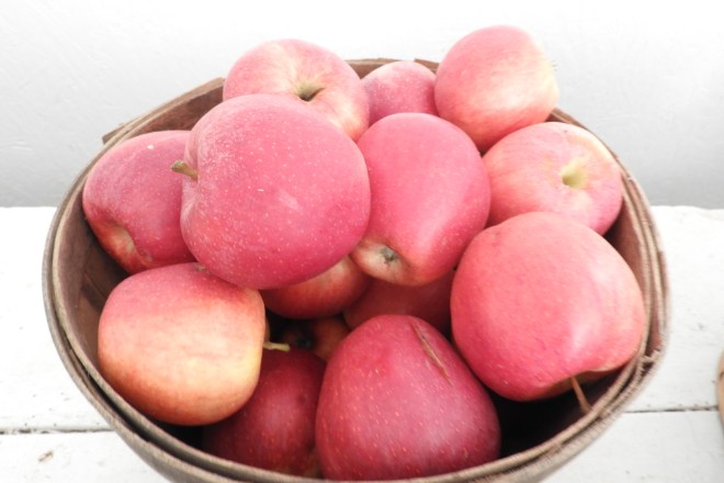 20170922_175048-DSCN0753